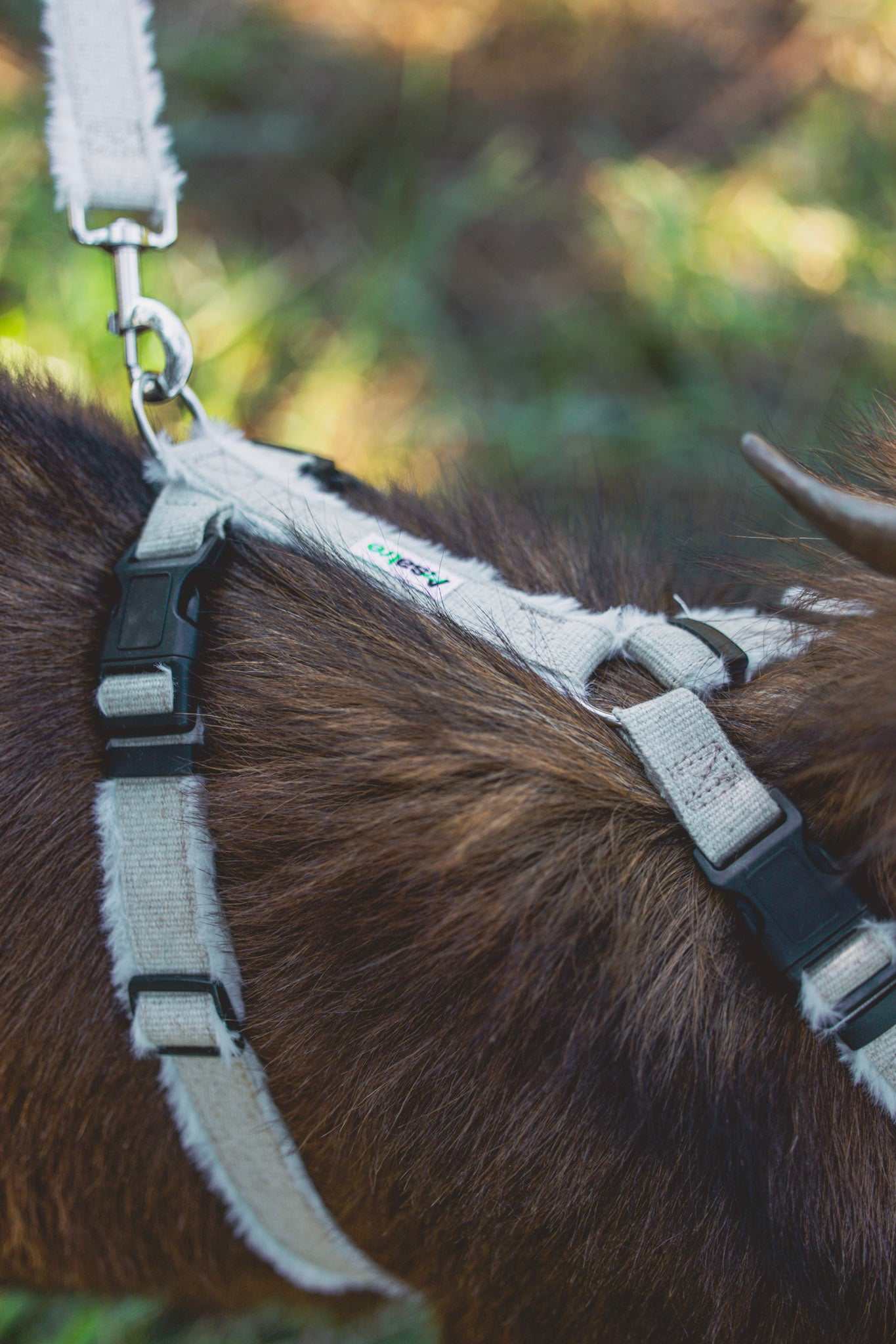 Goat Harness - Adjustable Hemp Harness for Livestock