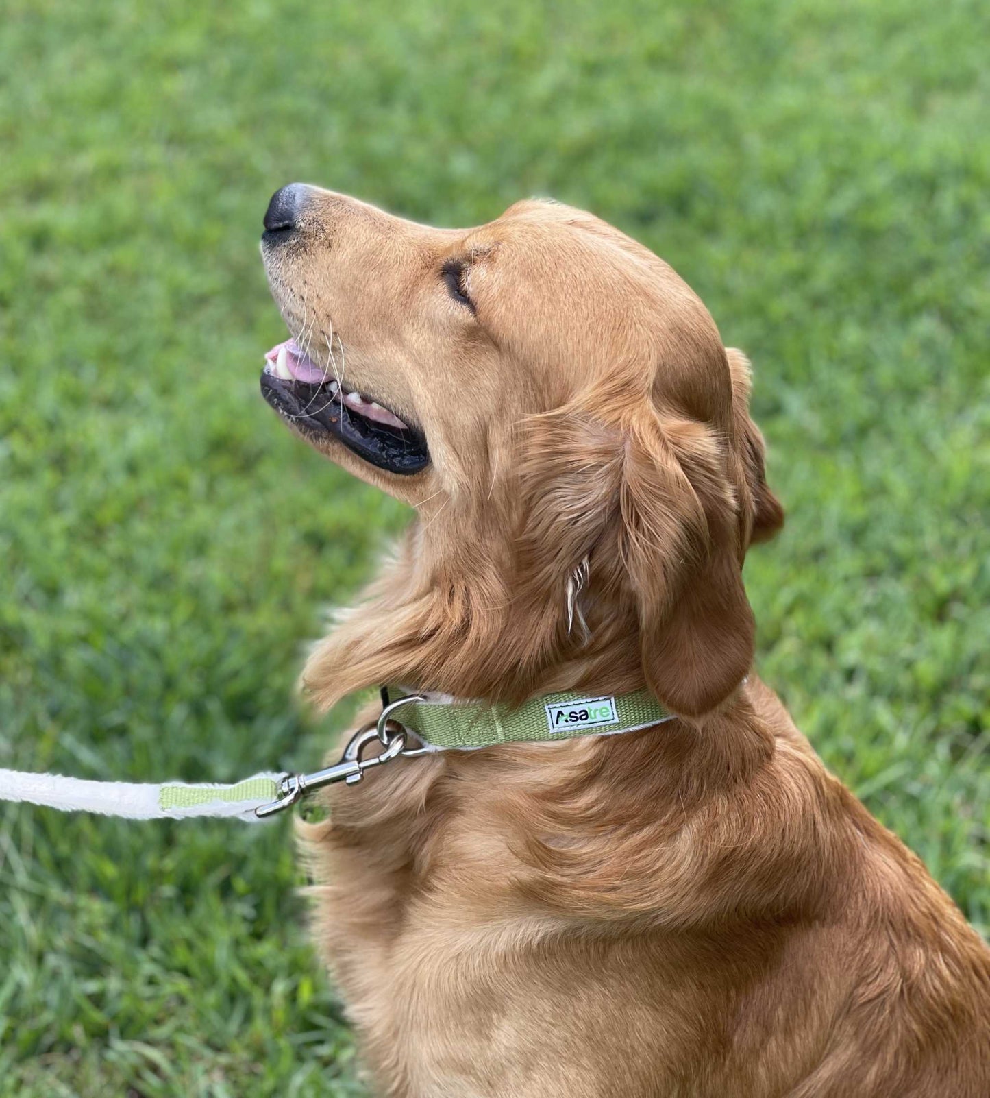 Asatre Hemp Collar- Green