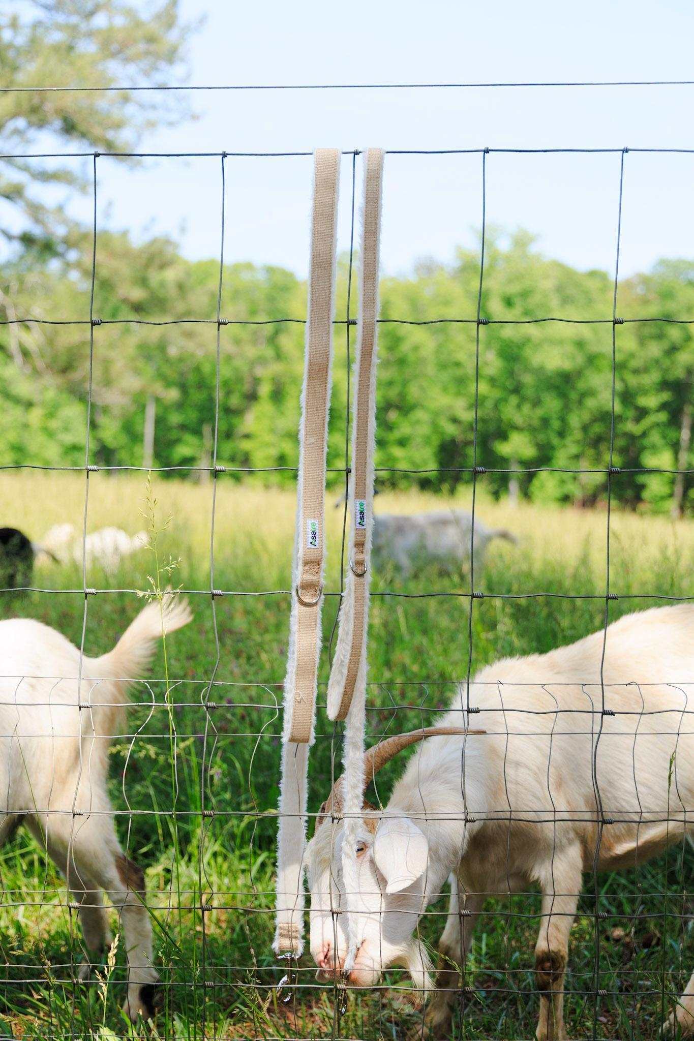 Hemp Goat Leash