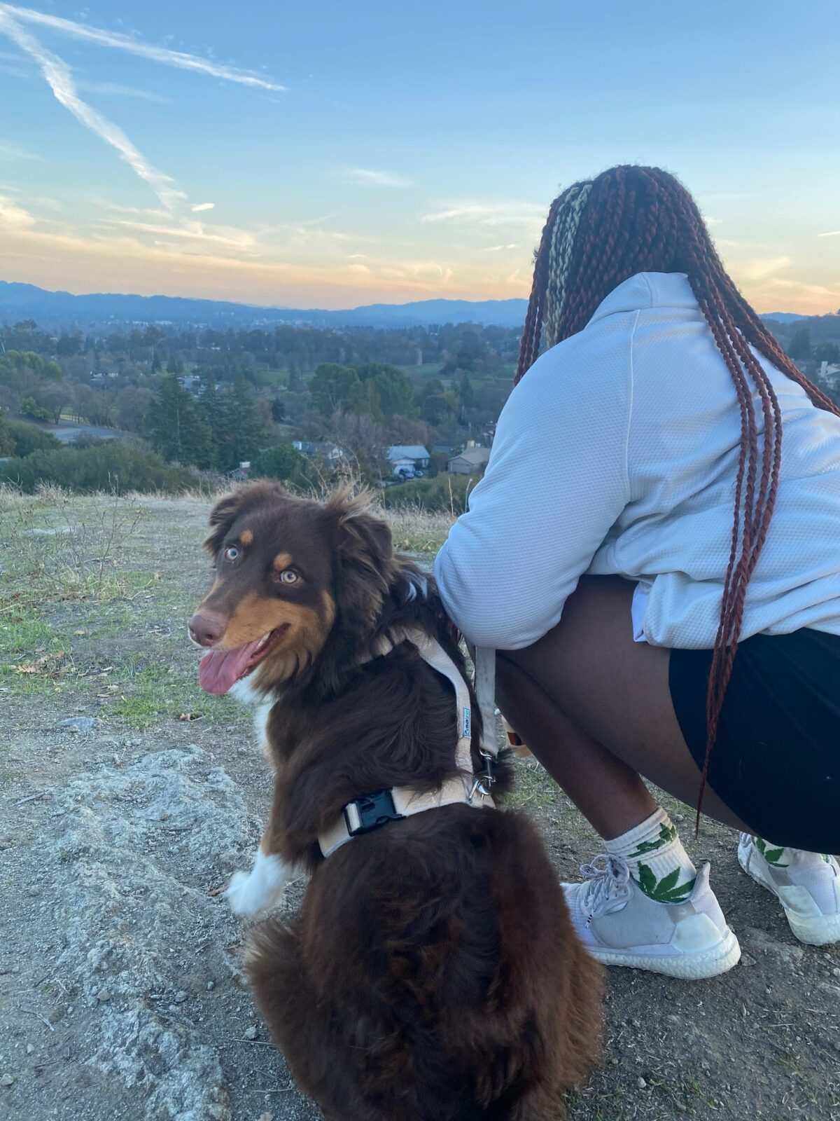 Durable Dog Harness - Hypo-Allergenic & Adjustable Comfort