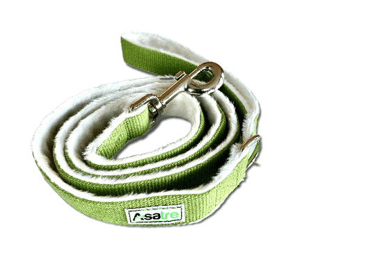 Pet Leash - Durable Hemp Dog Leash Green | Eco-Friendly|Asatre