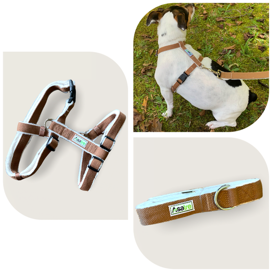 Chocolate brown hemp dog harness and leash set with soft fleece lining and adjustable straps, shown on dog outdoors.