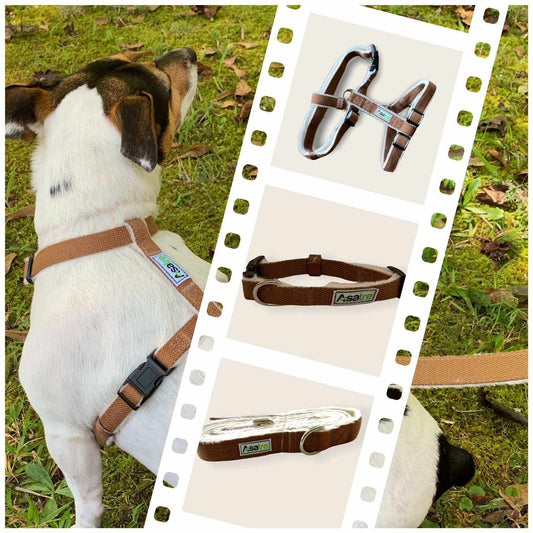 Chocolate brown hemp dog harness, collar, and leash set on a dog and displayed individually