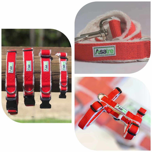 Red hemp dog harness collar and leash set with fleece lining and chrome hardware