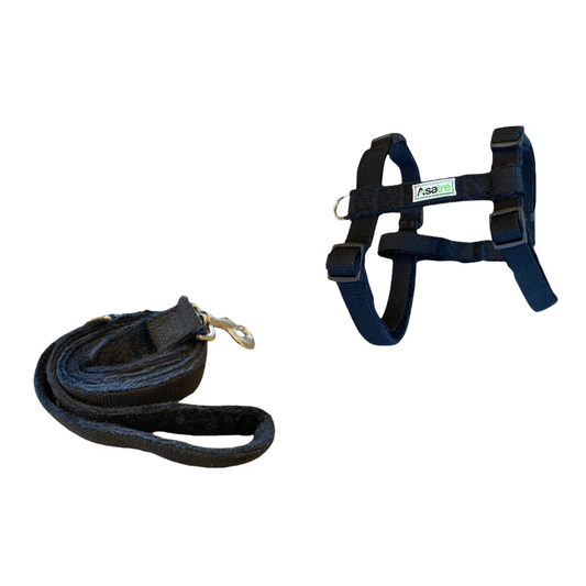Black hemp dog harness and leash set with adjustable straps and rust-proof chrome D-ring