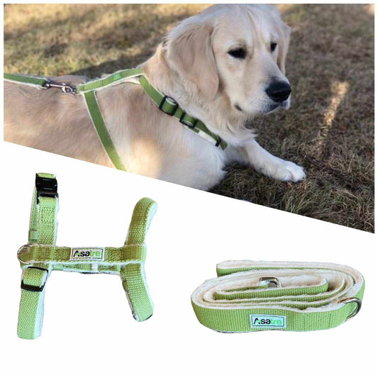 Green hemp dog harness and leash set on a golden retriever with durable, adjustable, and soft hemp material design