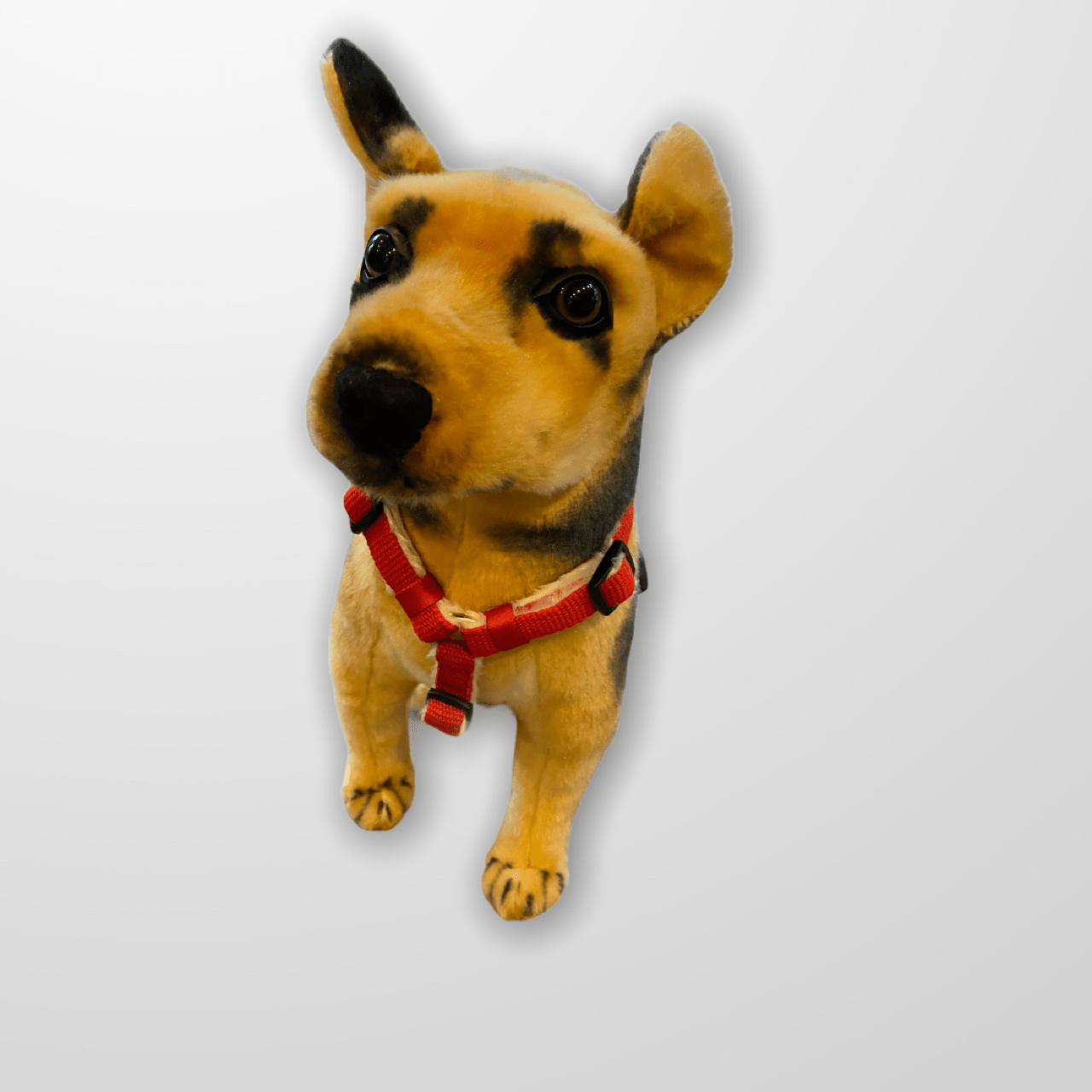 Asatre Hemp Dog Harness and Leash Set