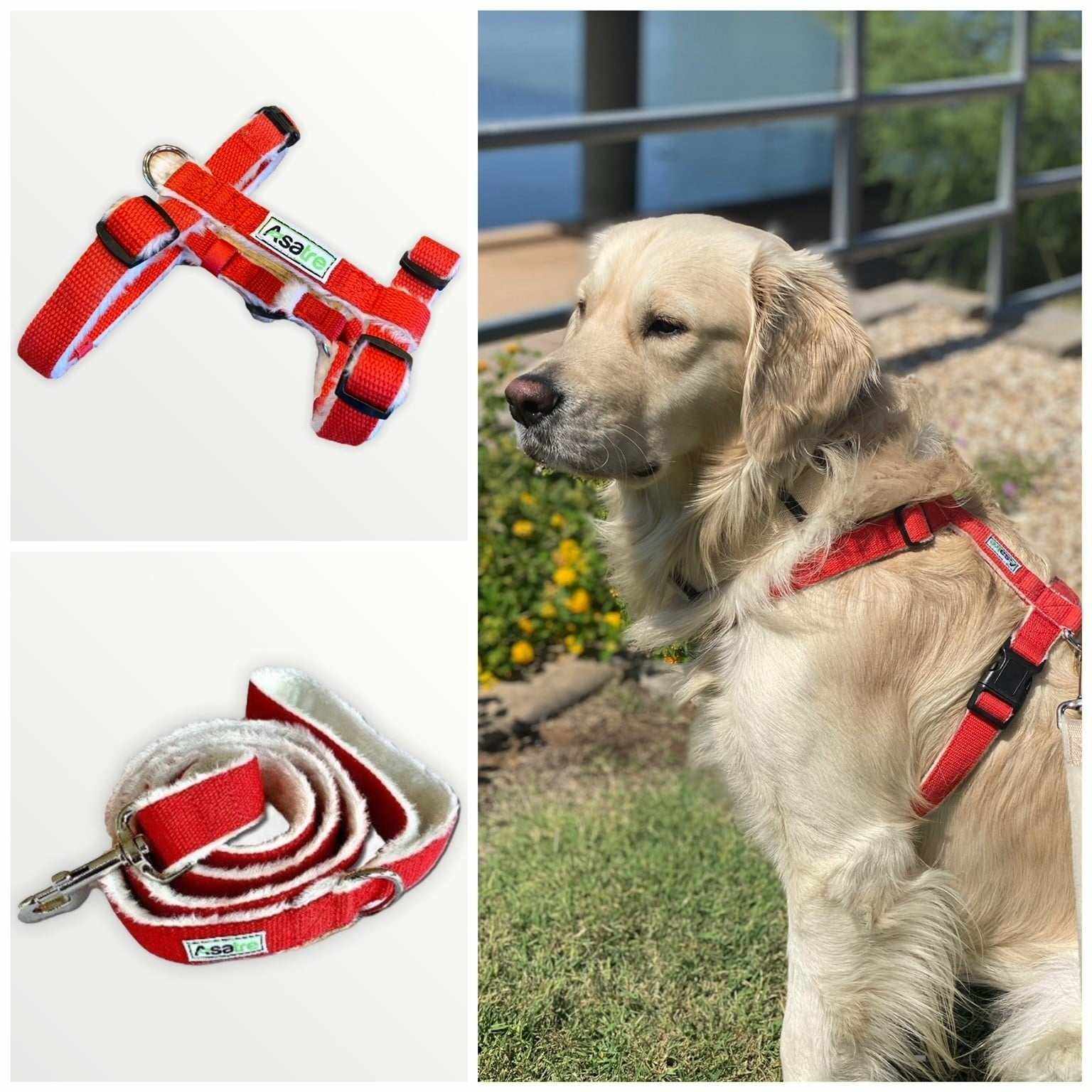 Asatre Hemp Dog Harness and Leash Set