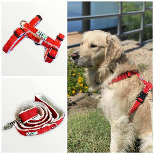 Asatre Hemp Dog Harness and Leash Set