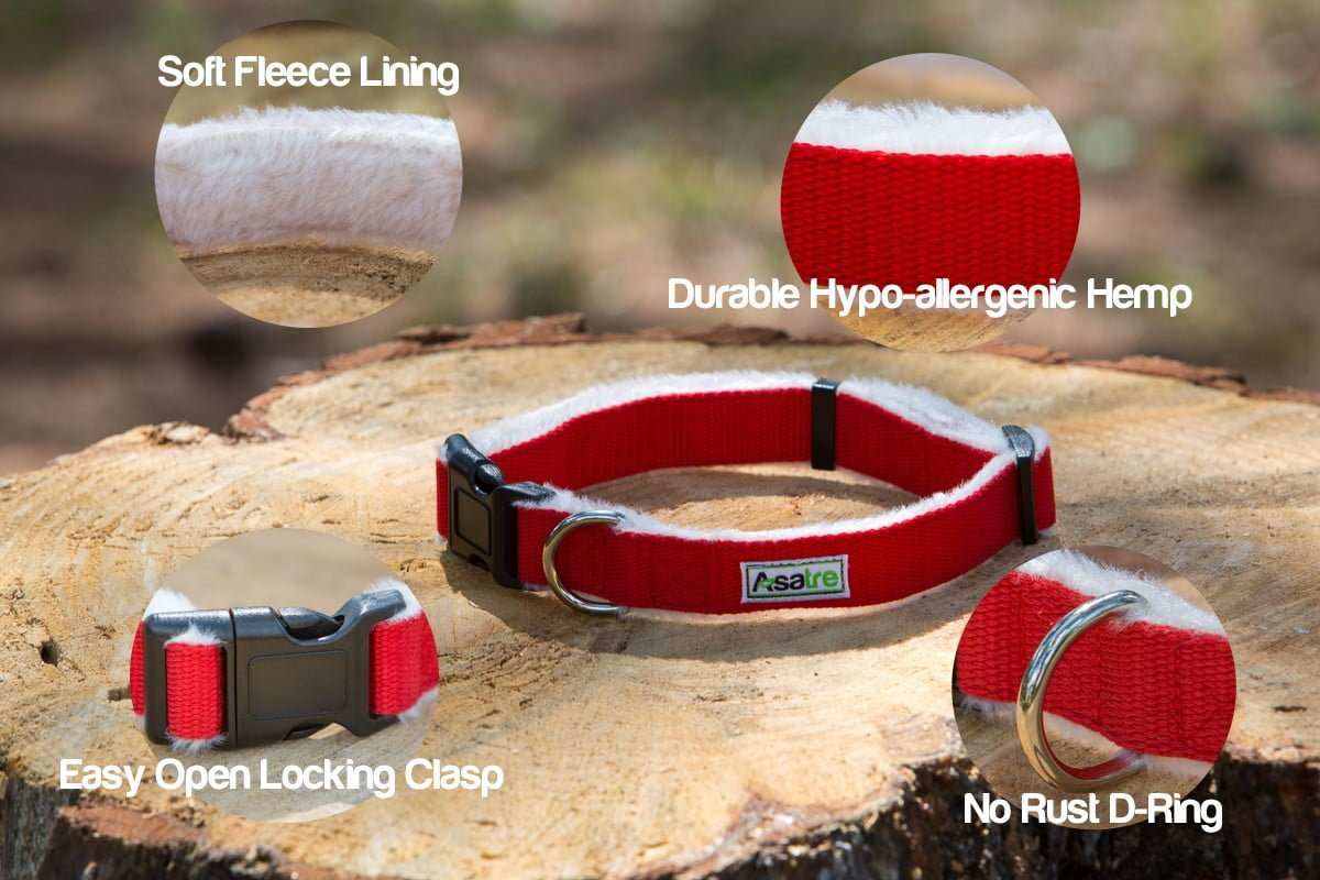 Dog Collar Leash Set: Adjustable Hemp Collar and Leash (Red)|Asatre