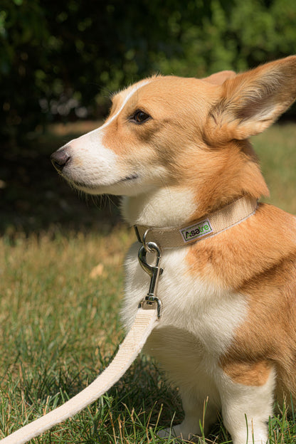 Hemp Dog Collar and Leash Set (Beige)