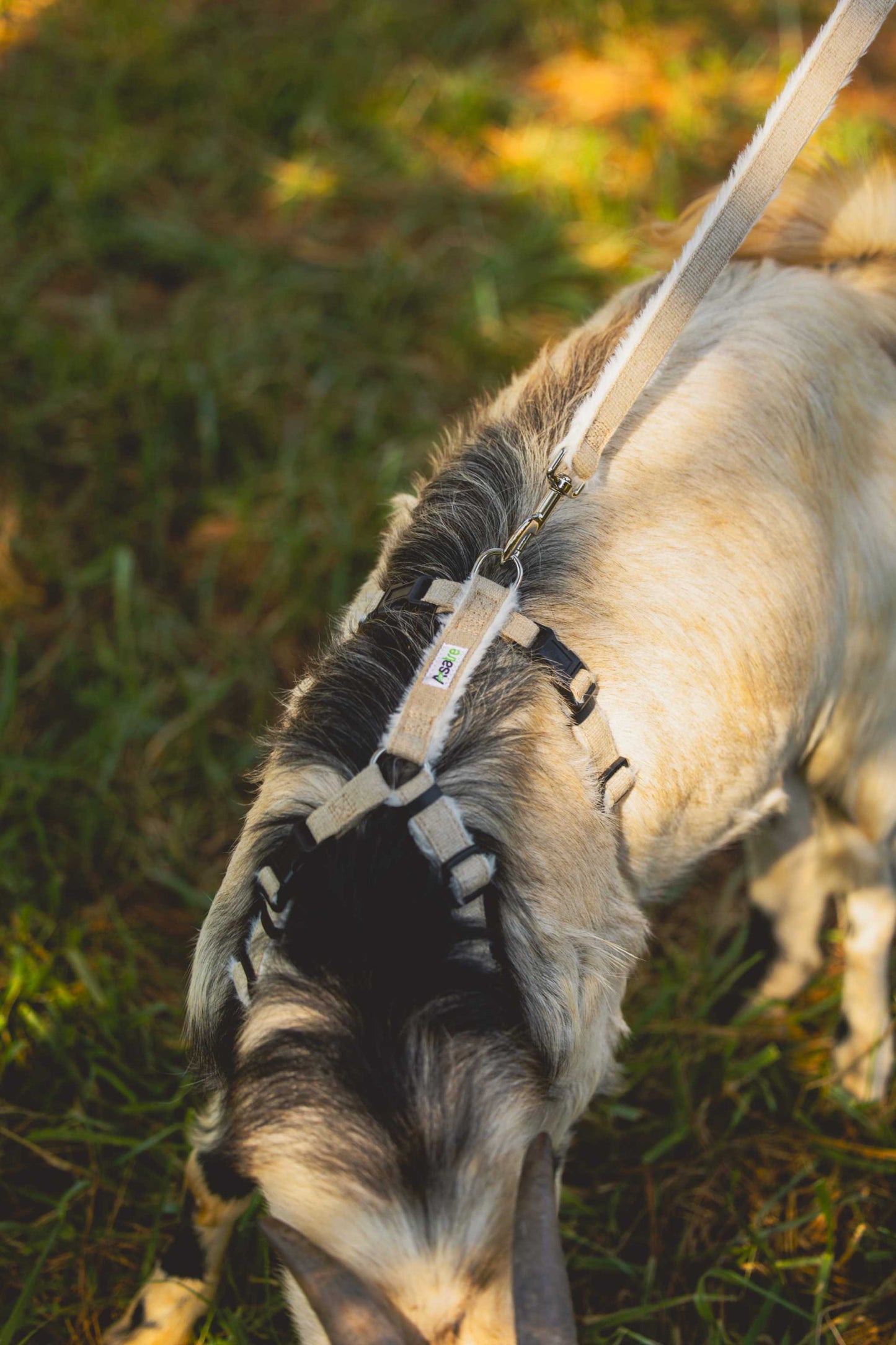 Goat Leash - Hemp Livestock Lead for Strong and Durable Use|Asatre