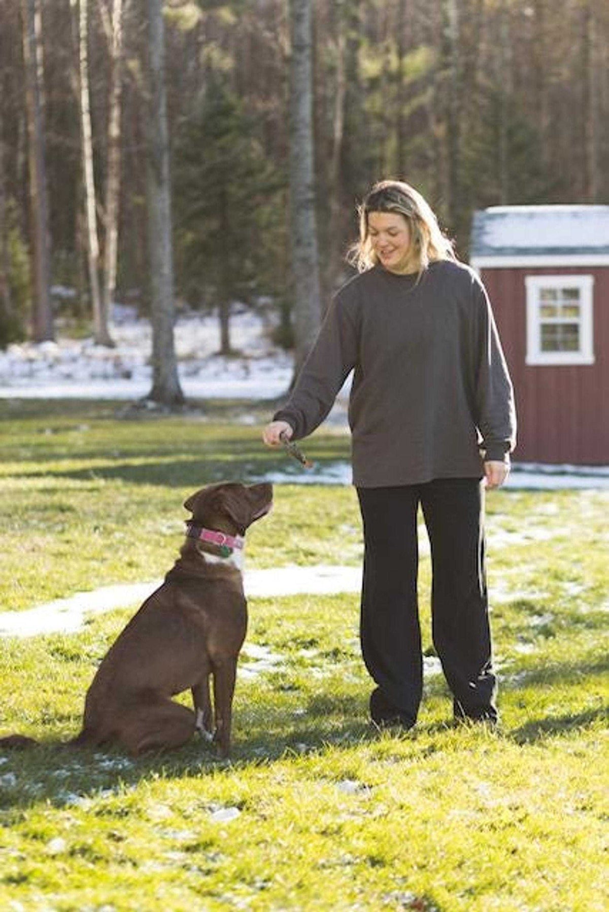 Hemp Dog Collar in pink fabric worn by a seated brown dog, with a visible adjustable strap and buckle.