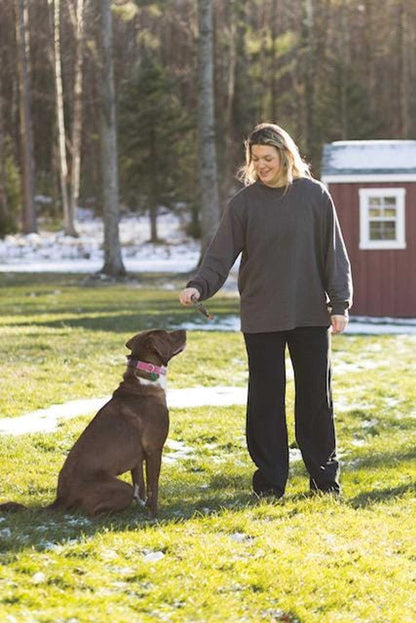 Hemp Dog Collar in pink fabric worn by a seated brown dog, with a visible adjustable strap and buckle.