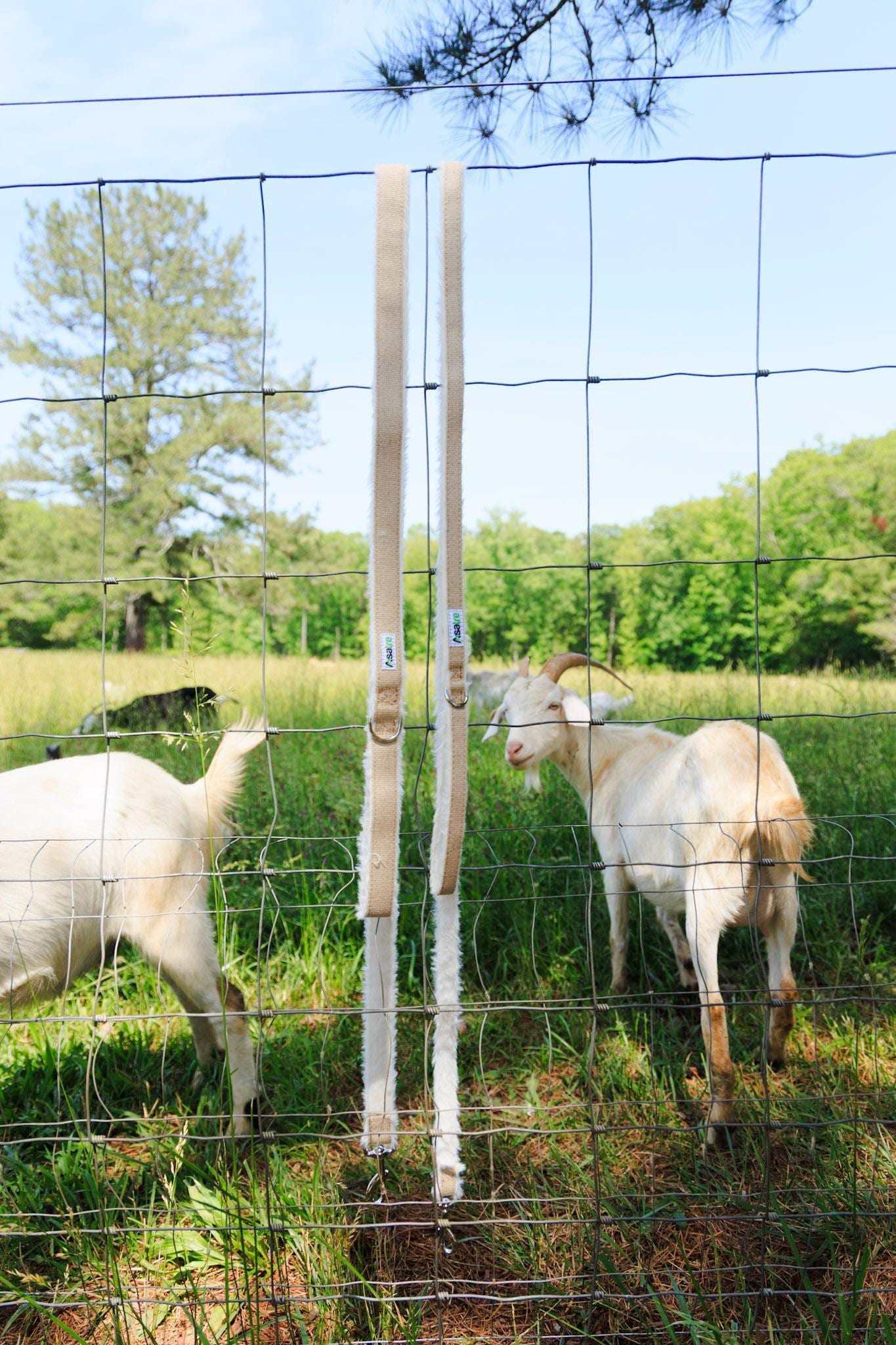 Livestock Lead Rope Hemp Goat Leash Professional Farm Handling Equipment Natural Fiber Construction Fleece Lined Design Comfortable Animal Control Six Foot Length Durable Show Exhibition Training Perfect Daily Activities Hypoallergenic