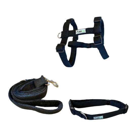 Hemp Dog Harness, Collar, Leash by Asatre