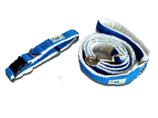 Asatre Blue Hemp Collar and Leash Set