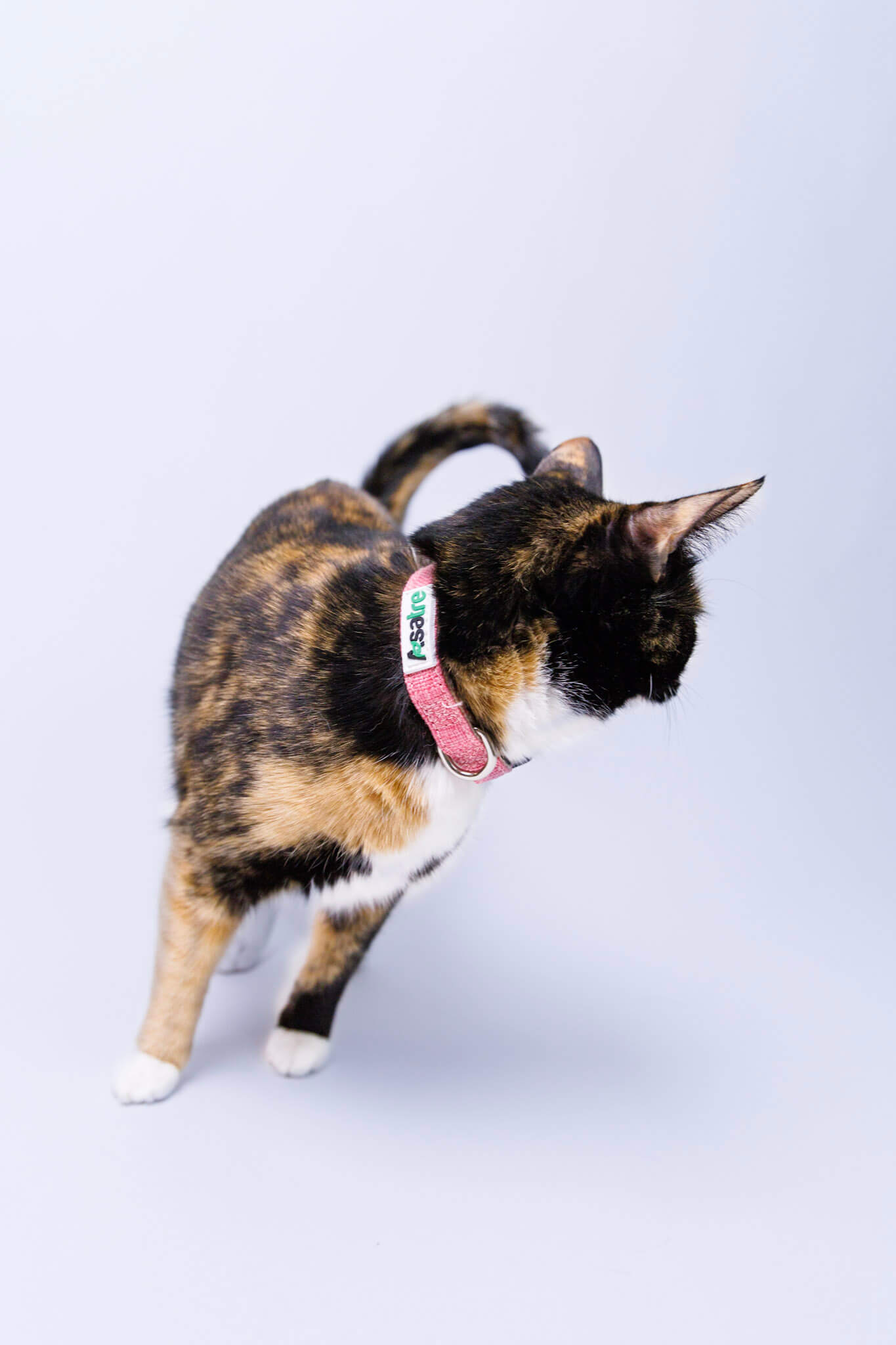 Cat Collar - Hemp Breakaway Collar