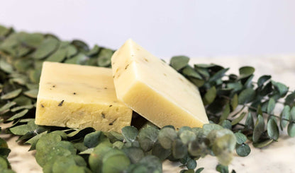 Eucalyptus Soap - Energizing & Natural Eucalyptus Tea Tree Hemp Soap