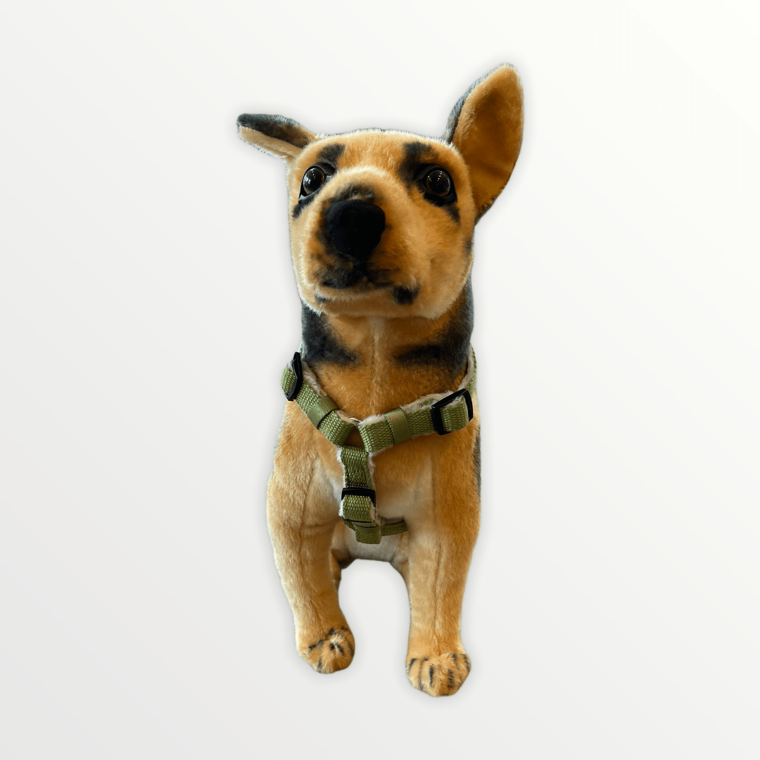 Hemp Dog Harness and Leash Set - Green