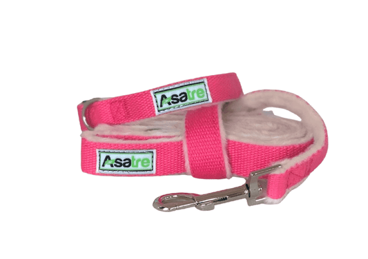 Asatre Hemp Collar and Leash Set - Pink