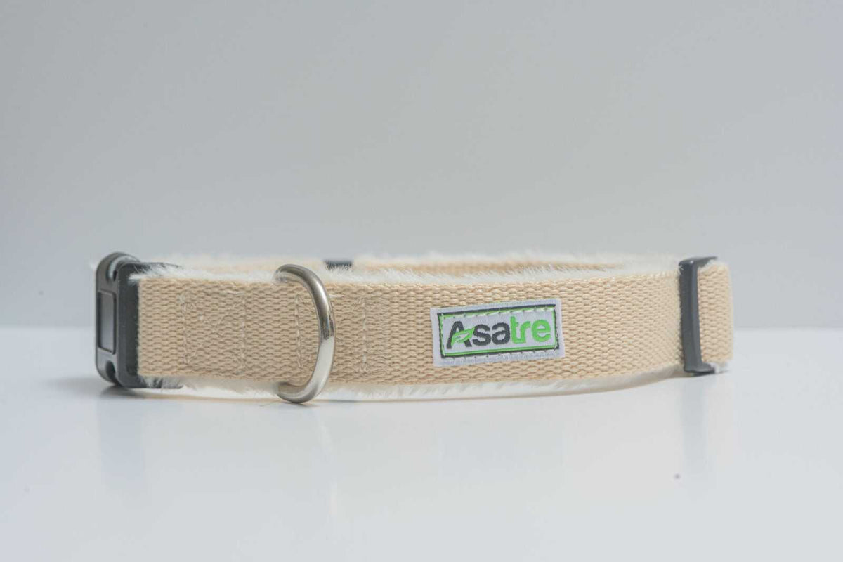Hemp Dog Collar in beige woven hemp with an adjustable plastic buckle, metal D-ring and Asatre label