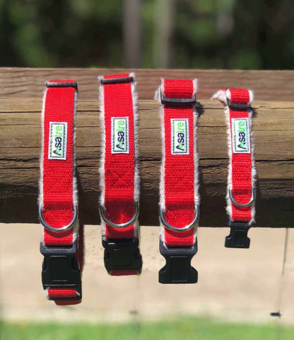 Hemp Dog Collar in bright red woven webbing with soft white fleece lining, black plastic buckle and metal D-ring