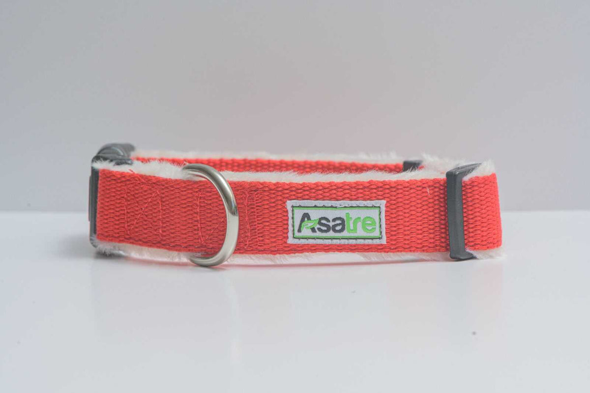 Hemp Dog Collar in bright red woven webbing with a metal D-ring, adjustable plastic hardware and a fabric brand label