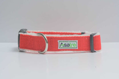 Hemp Dog Collar in bright red woven webbing with a metal D-ring, adjustable plastic hardware and a fabric brand label